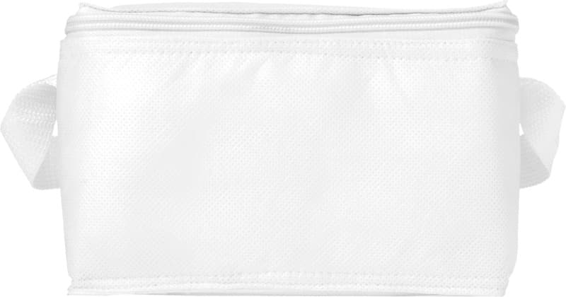 Spectrum 6-can cooler bag 4L 2