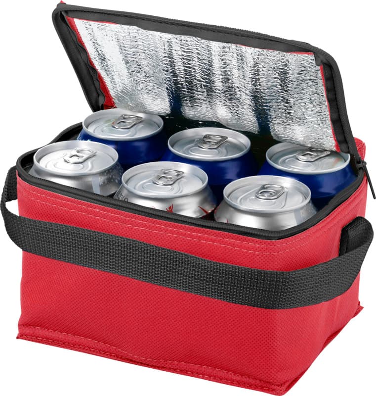Spectrum 6-can cooler bag 4L 22