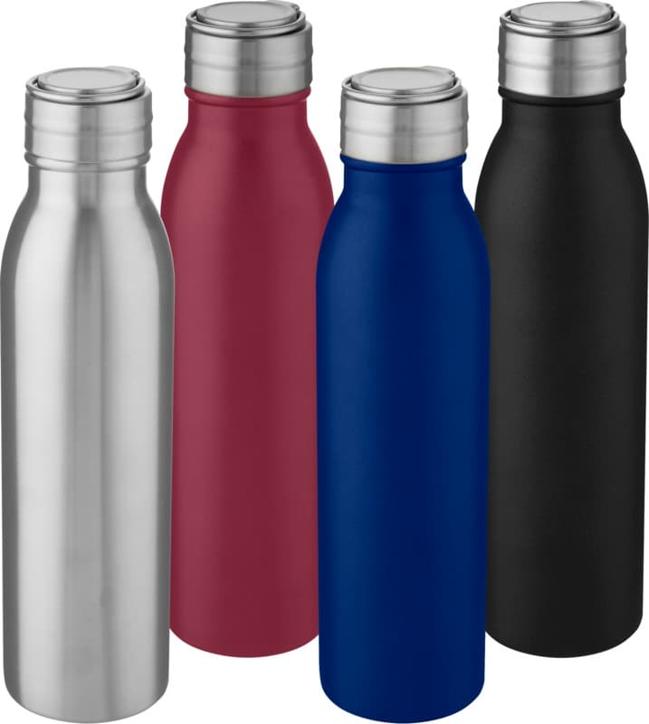 Harper 700 ml stainless steel water bottle with metal loop 11