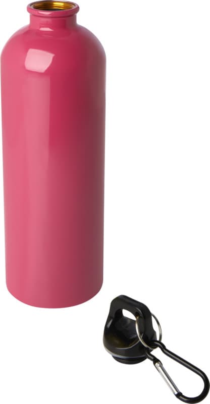 Oregon 750 ml RCS certified single wall stainless steel water bottle with carabiner 53