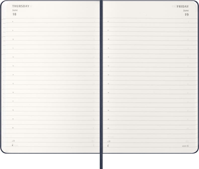 Moleskine hard cover 12 month L daily planner 12