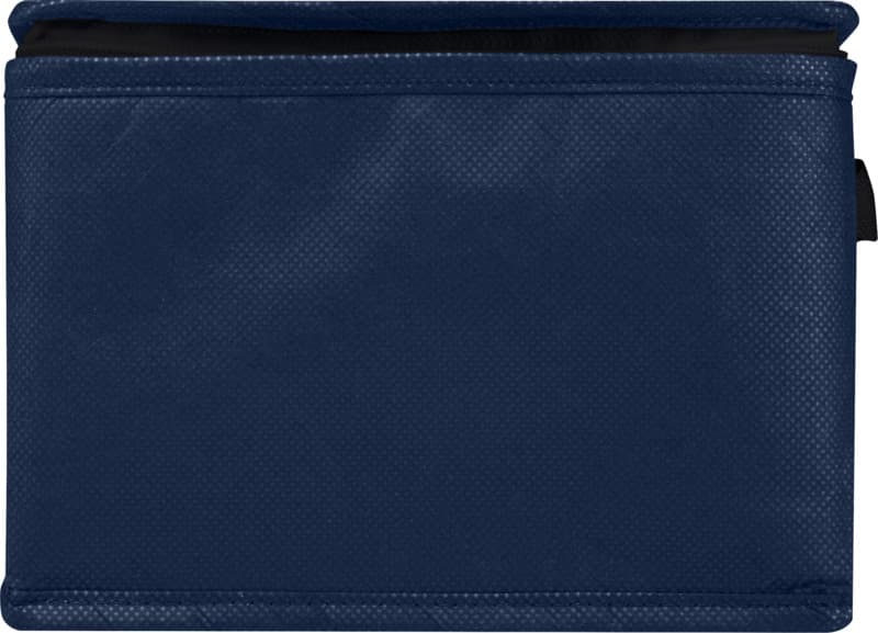 Spectrum 6-can recycled non-woven cooler bag 4L 17