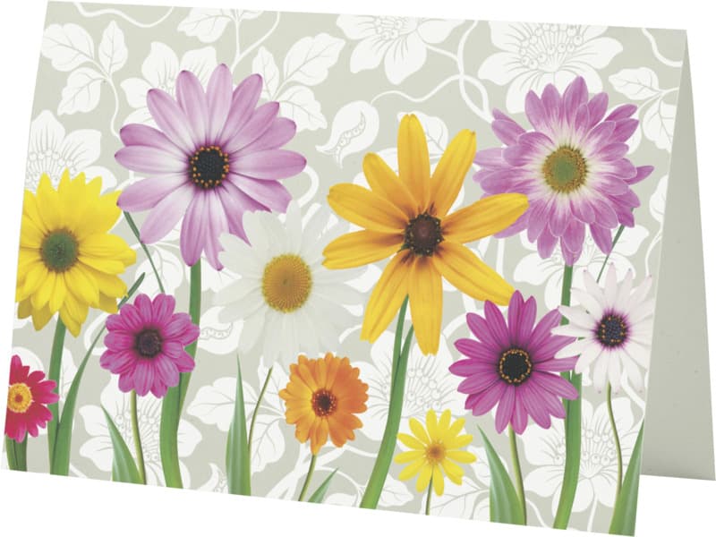 Herald A5 greeting card 12