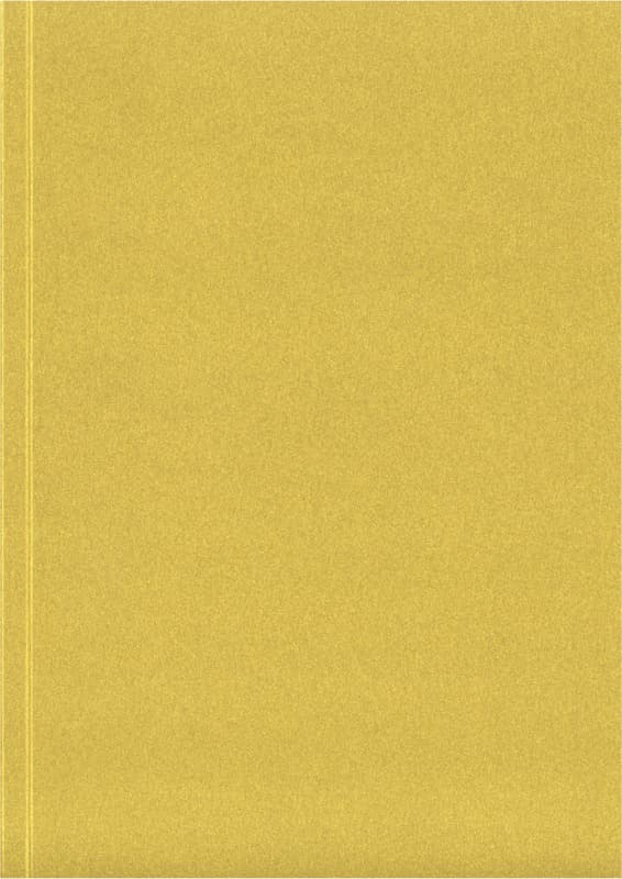 Novella Austen A5 metallic soft cover notebook - 100 sheets 2