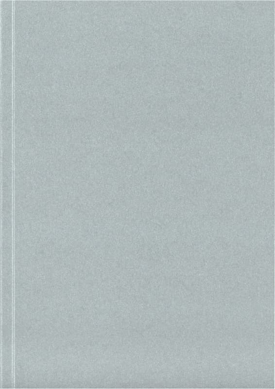 Novella Austen A5 metallic soft cover notebook - 100 sheets 8