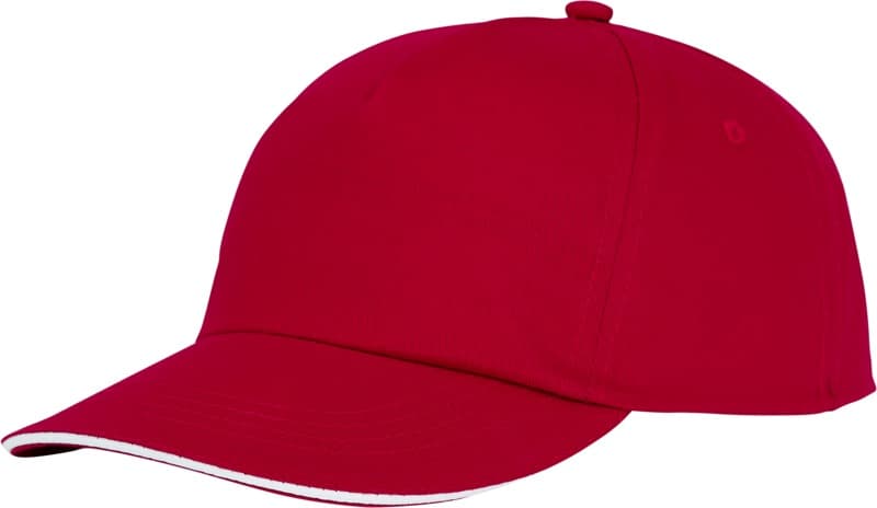 Styx 5 panel sandwich cap 1