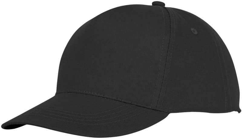 Hades 5 panel cap 11