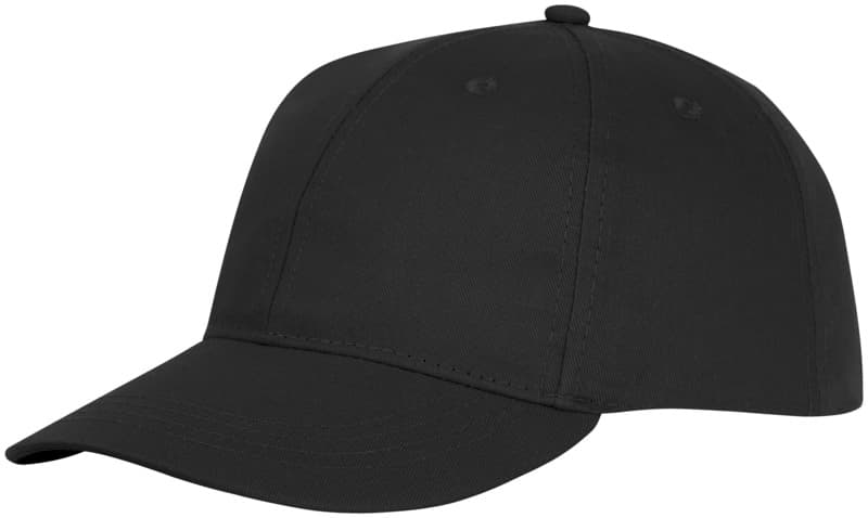 Ares 6 panel cap 11