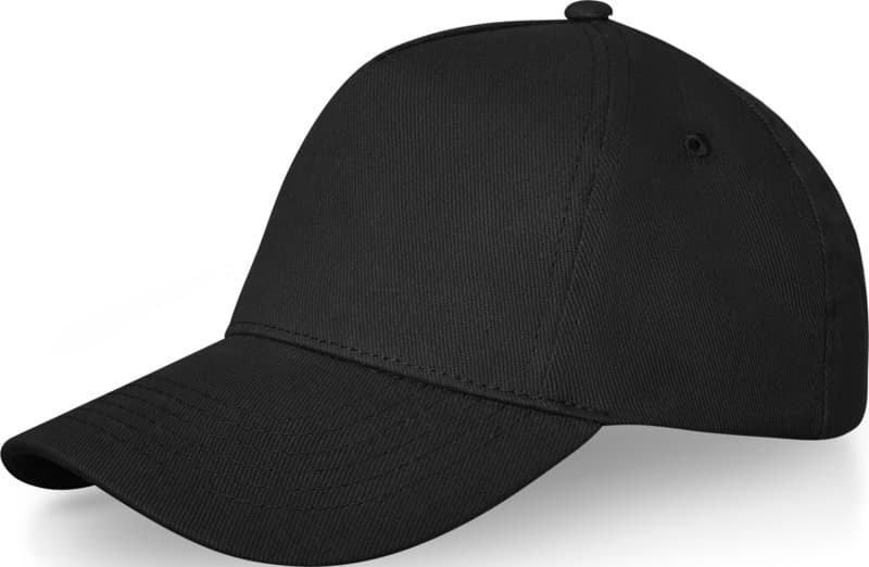 Doyle 5 panel cap 37