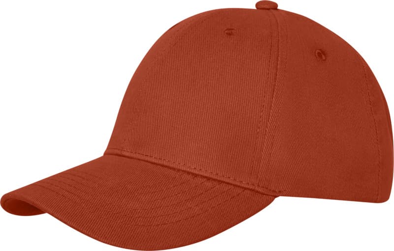 Davis 6 panel cap 41
