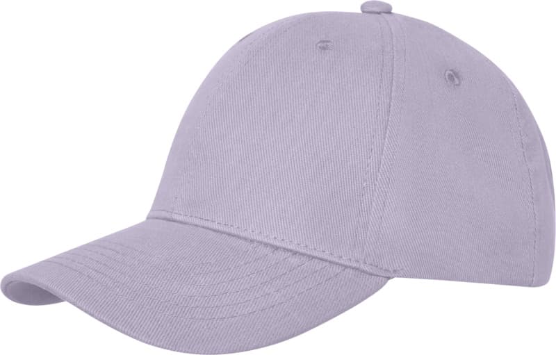 Davis 6 panel cap 45