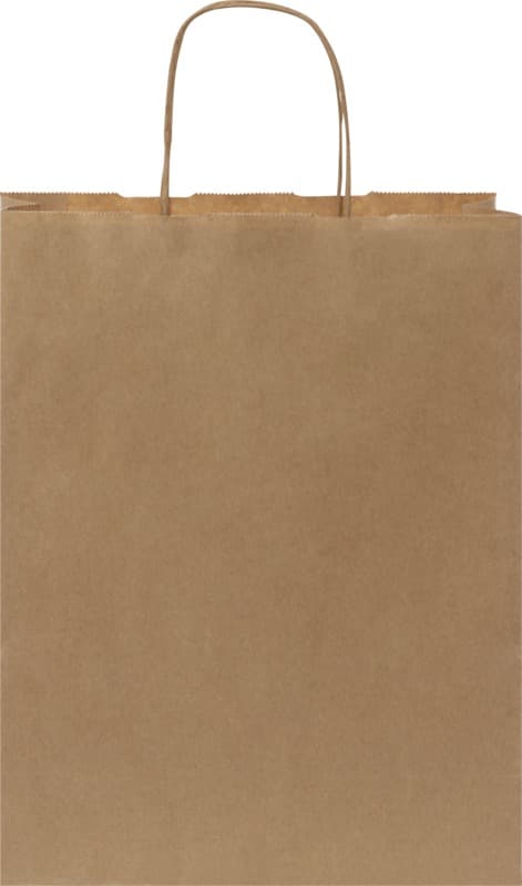 Kraft 80 g/m2 paper bag with twisted handles - 25 x 11 x 32 cm 8