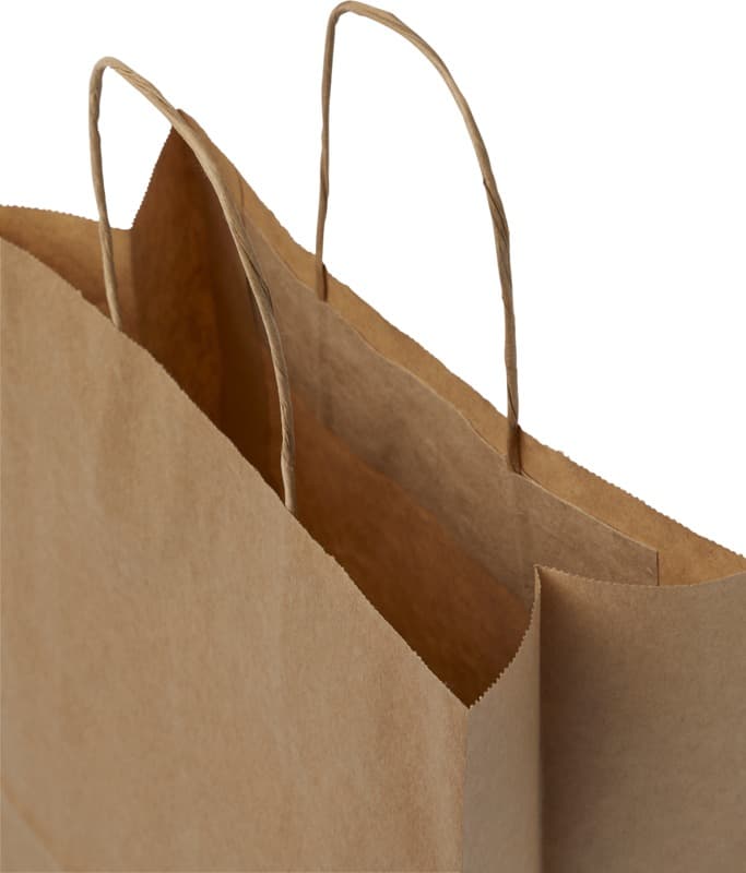 Kraft 80 g/m2 paper bag with twisted handles - 25 x 11 x 32 cm 10