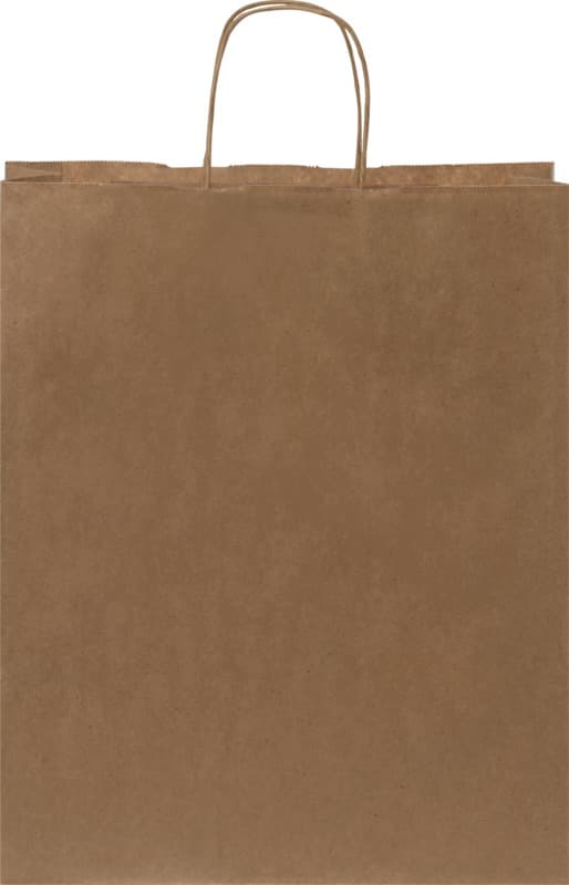 Kraft 80-90 g/m2 paper bag with twisted handles - 32 x 12 x 40 cm 9