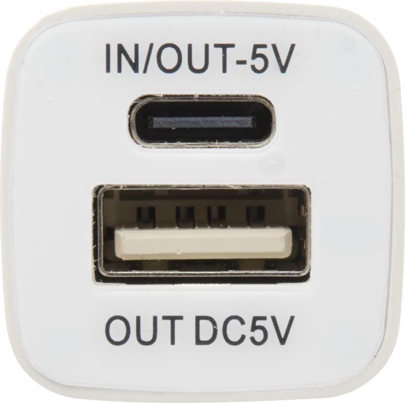 WS102 2200/2600 mAh power bank 10