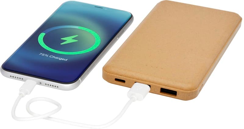 Eco 10.000 mAh power bank 6