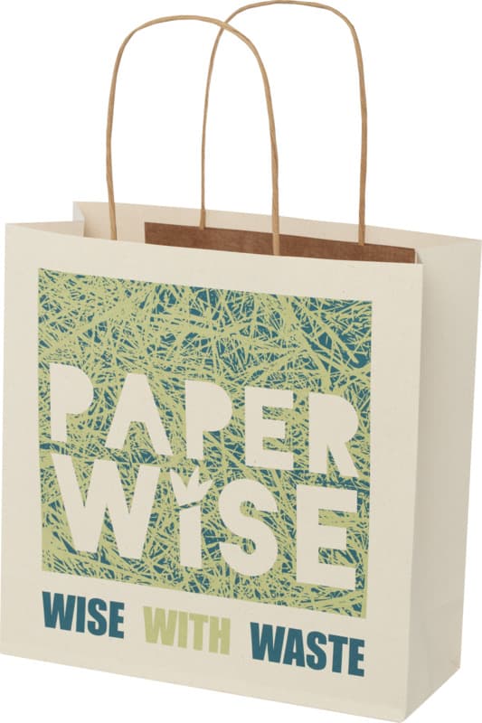 Agricultural waste 150 g/m2 paper bag with twisted handles - 24 x 9 x 24 cm 1