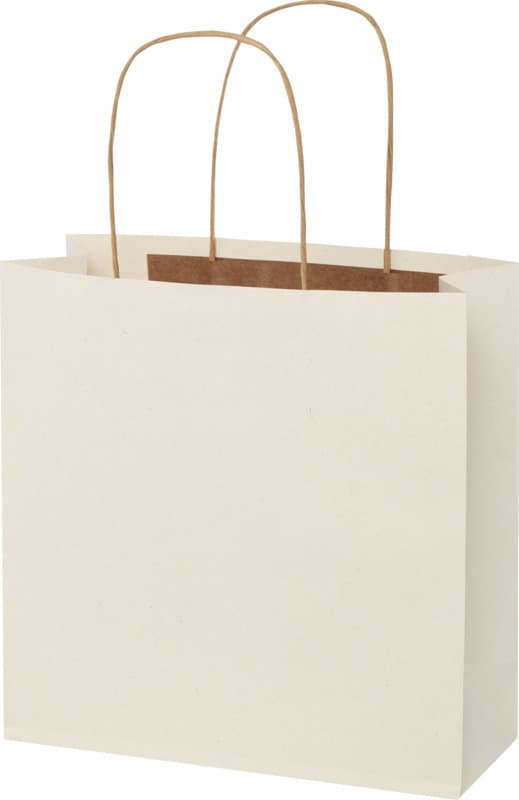 Agricultural waste 150 g/m2 paper bag with twisted handles - 24 x 9 x 24 cm 4