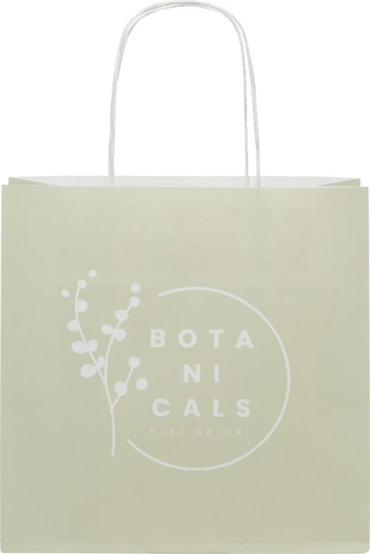 Kraft 120 g/m2 paper bag with twisted handles - 24 x 9 x 24 cm 2