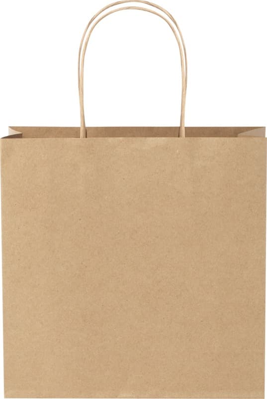 Kraft 120 g/m2 paper bag with twisted handles - 24 x 9 x 24 cm 11