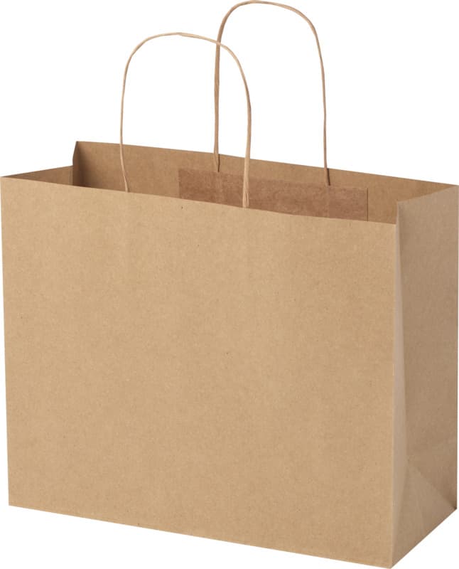Kraft 120 g/m2 paper bag with twisted handles - 31 x 12 x 25 cm 12