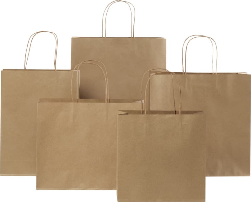 Kraft 120 g/m2 paper bag with twisted handles - 31 x 12 x 41 cm 16