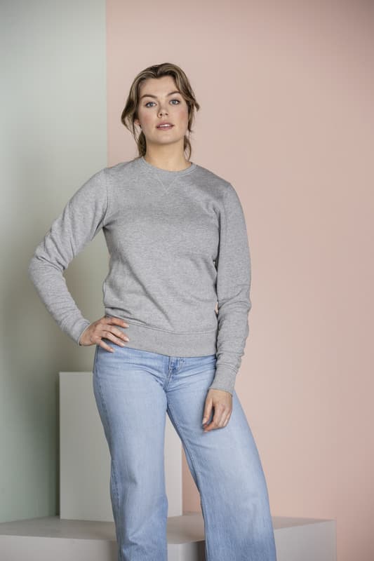 Surrey unisex crewneck sweater 6