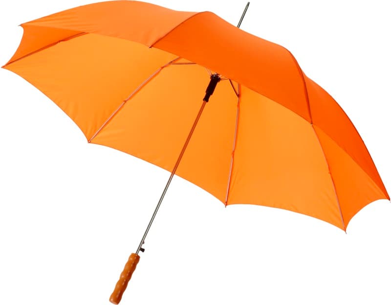 Lisa 23" auto open umbrella with wooden handle 5