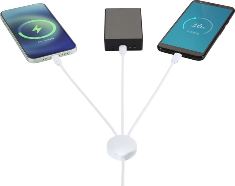 Pure 5-in-1 charging cable with antibacterial additive 4