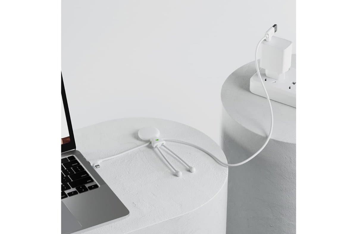 2089 | Xoopar Mr. Bio Long Power Delivery Cable with data transfer 4