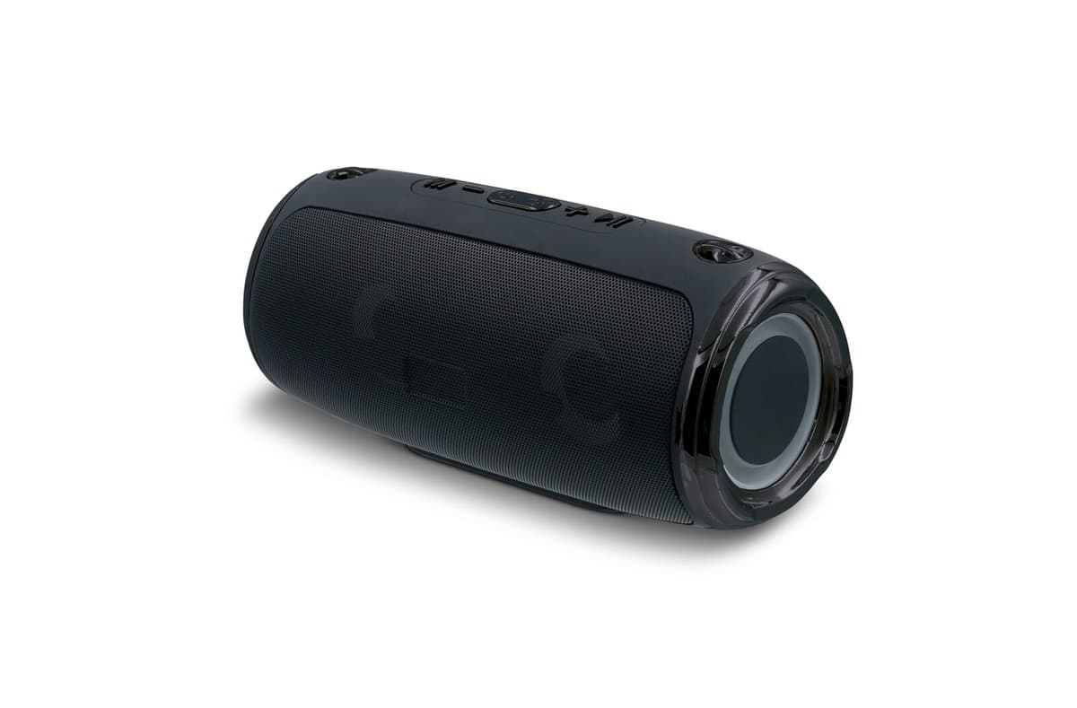 Large speaker with shoulder strap 20W 3