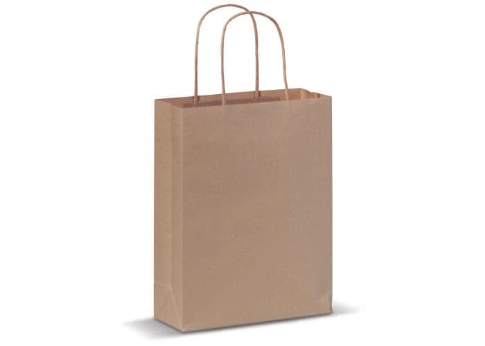 Paper bag with twisted handles 90g/m² 18x8x22cm 4