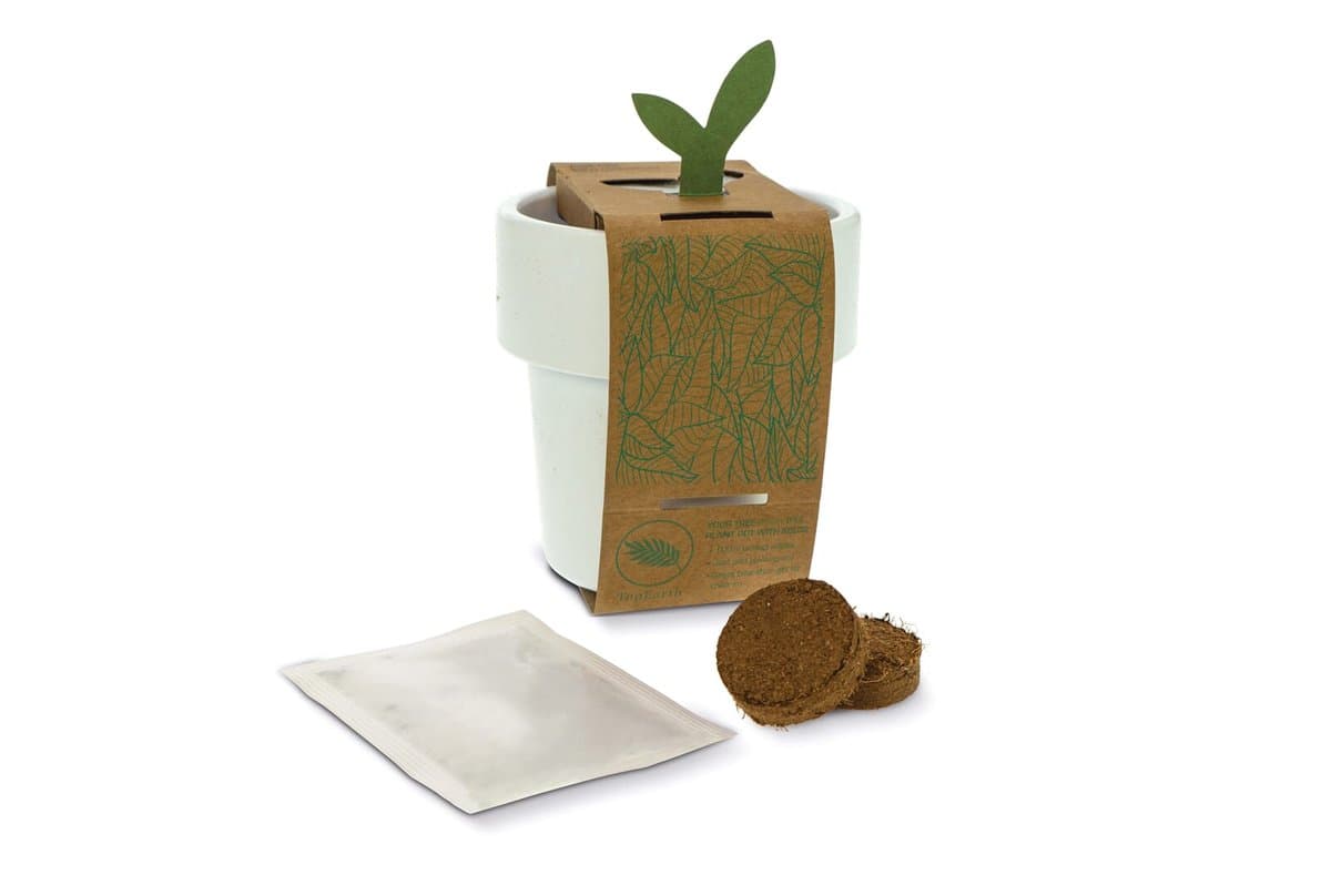 Hot-but-cool cup with Basil seeds 4