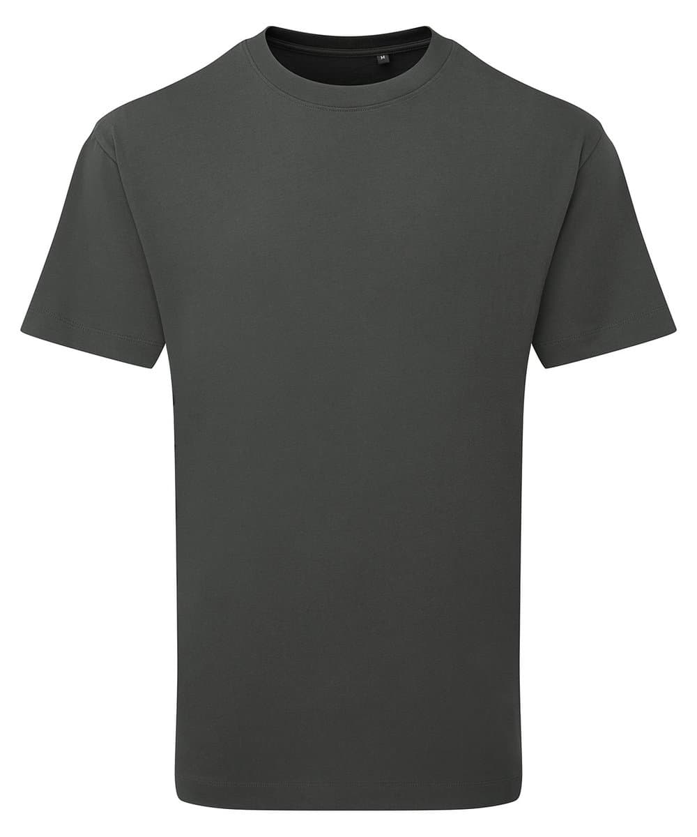 Anthem heavyweight t-shirt 4