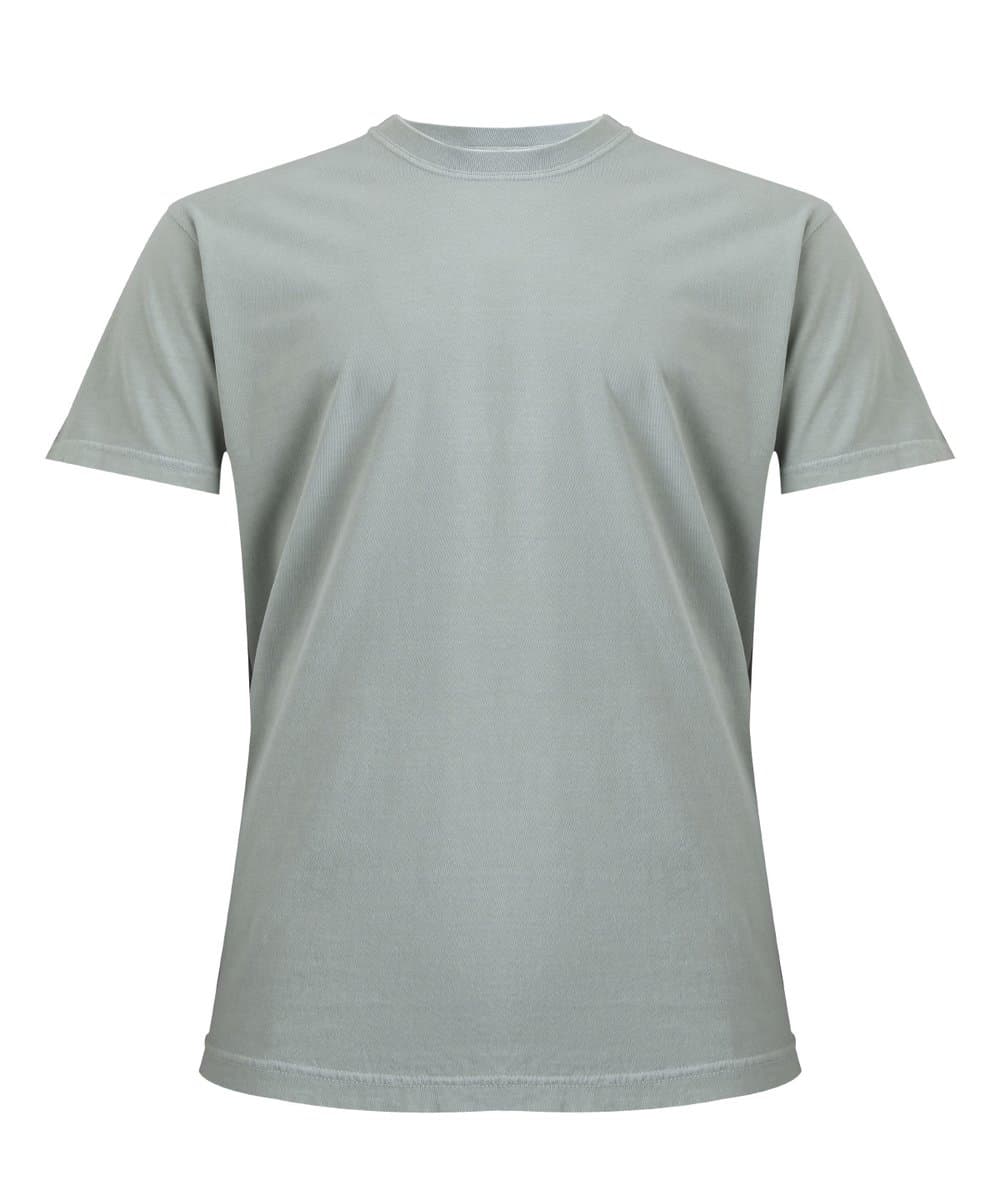 Heavyweight adult t-shirt 2