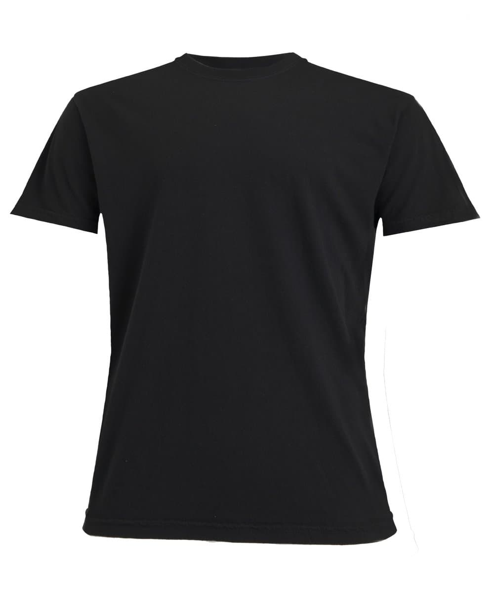 Heavyweight adult t-shirt 3