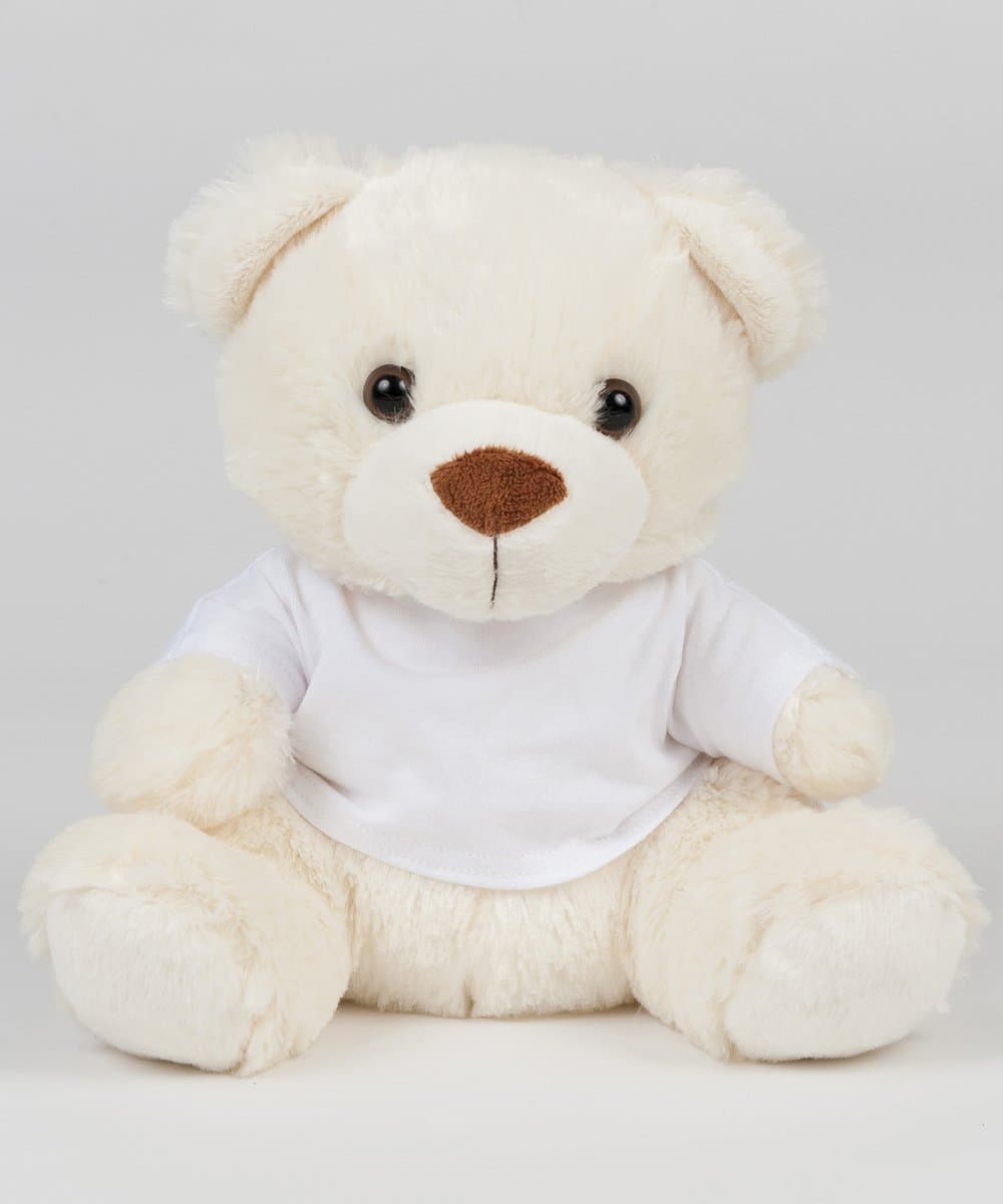 Bear in a t-shirt 3