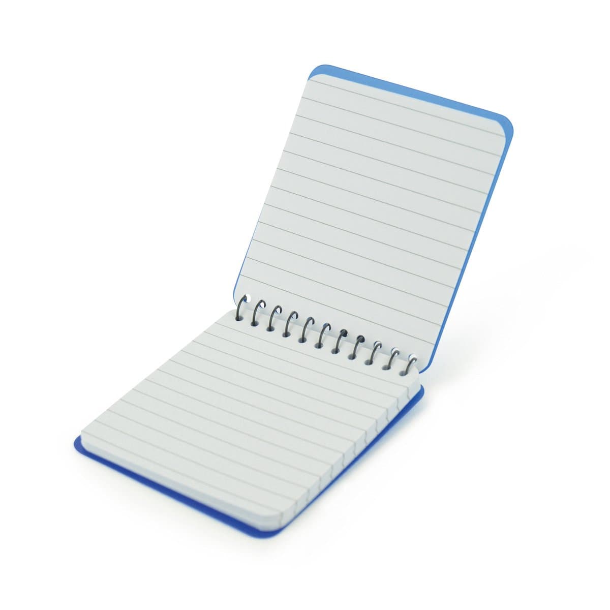Bailey Notebook 2