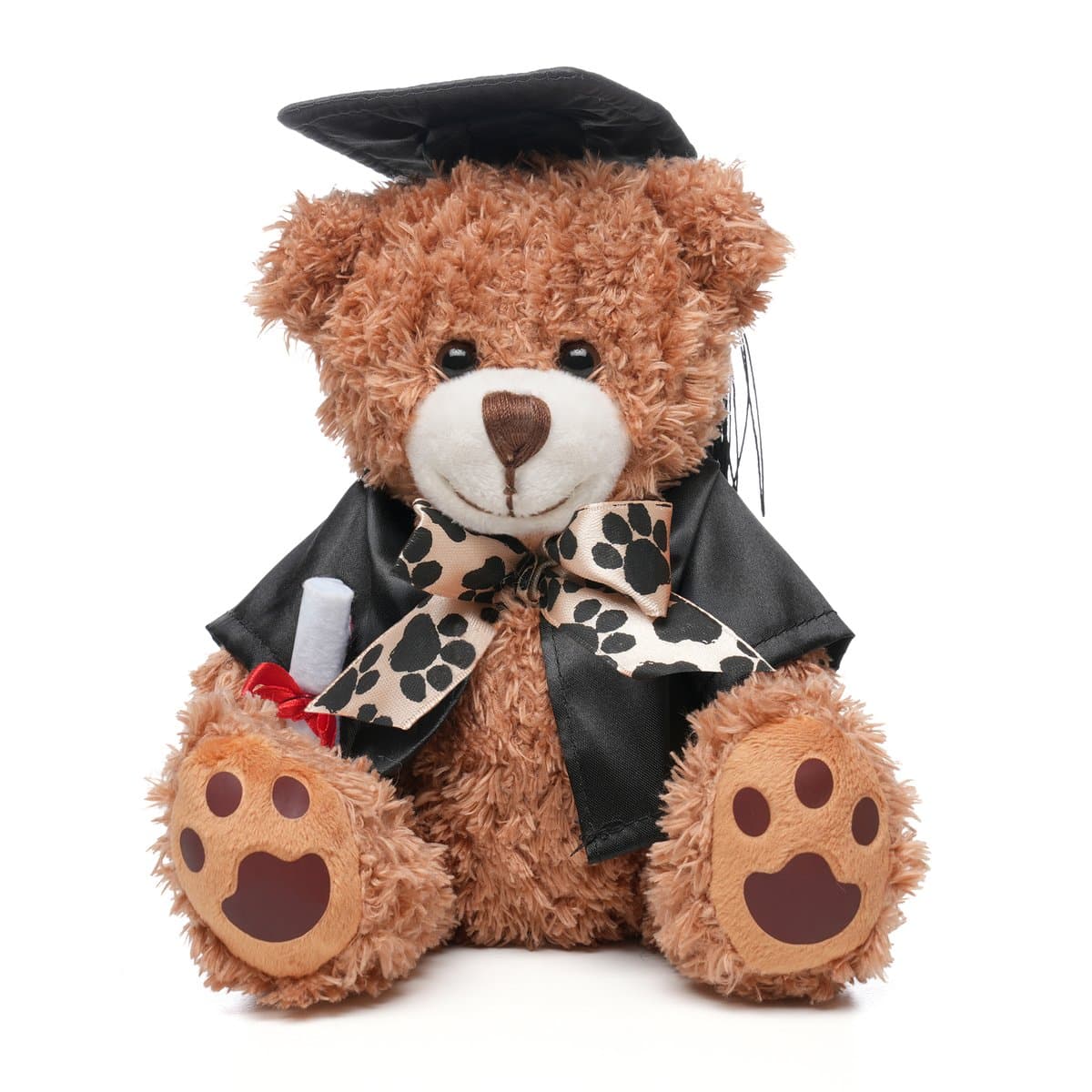 Graduation Style Medium Patched Paw Teddy 4