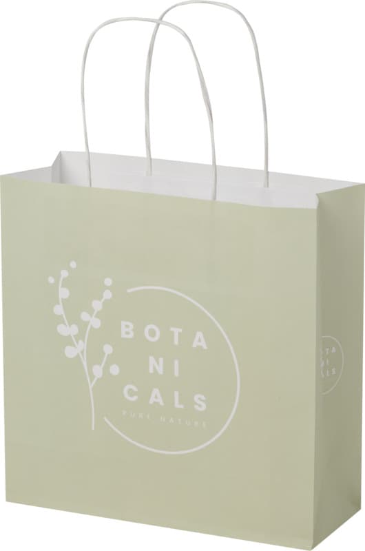 Kraft 120 g/m2 paper bag with twisted handles - 24 x 9 x 24 cm