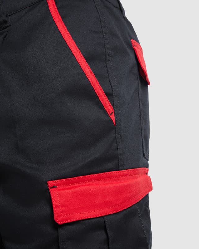 Tahoe 250 g/m2 workwear shorts 3