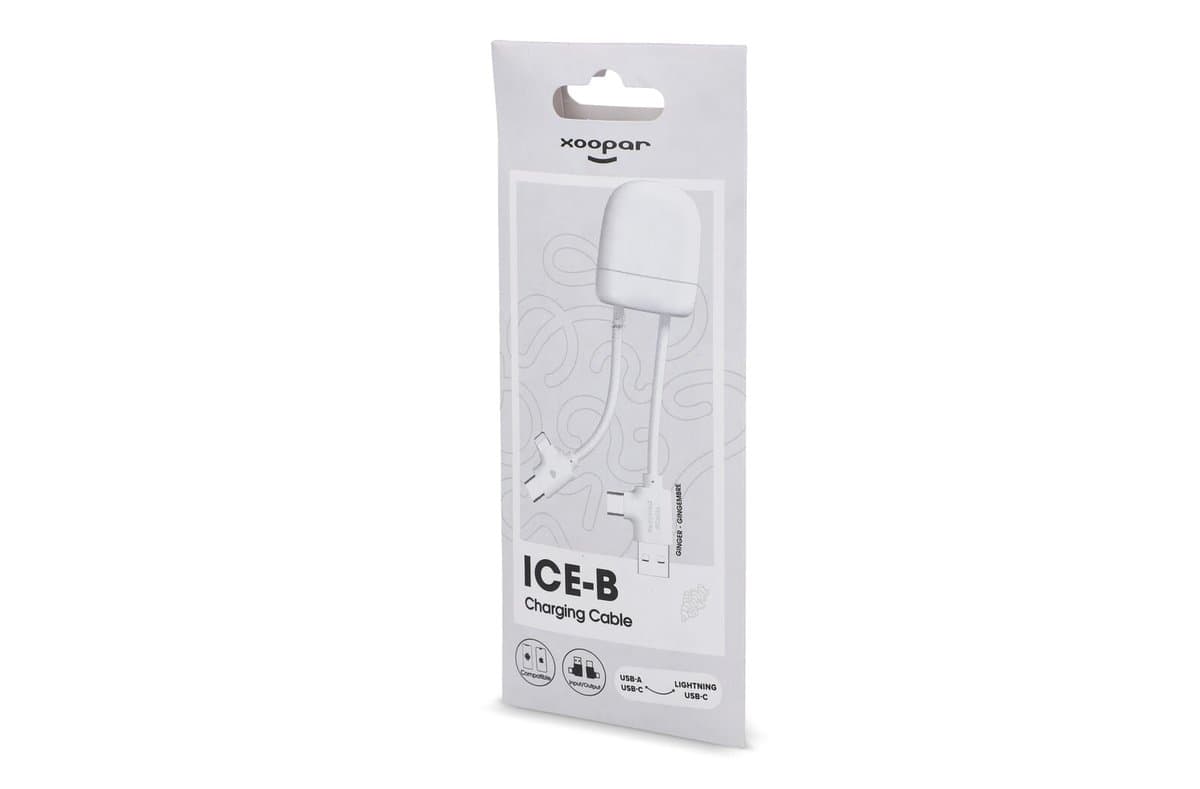 Xoopar ICE-B Multi Charging Cable 4