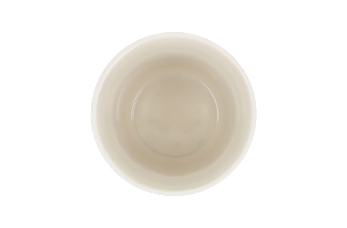 InSideOut Premium Mug Fjord 280ml 5