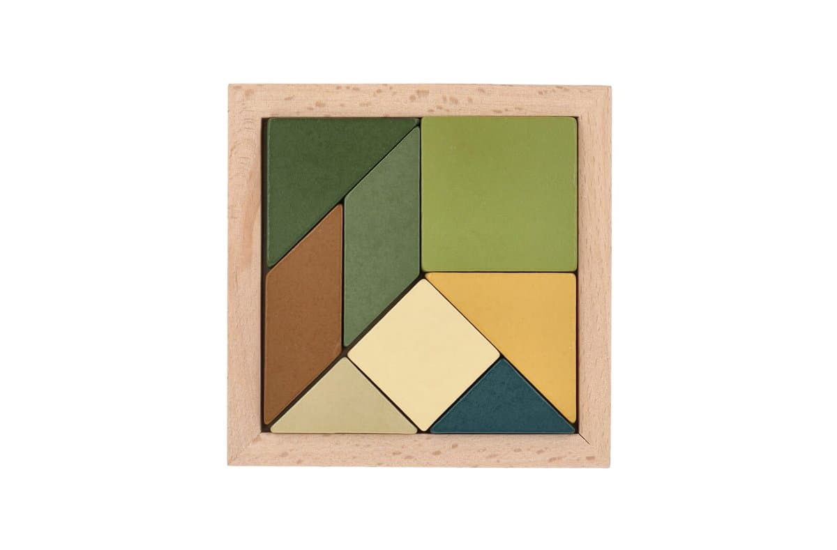 InSideOut Wooden Tangram think IQ puzzle 5