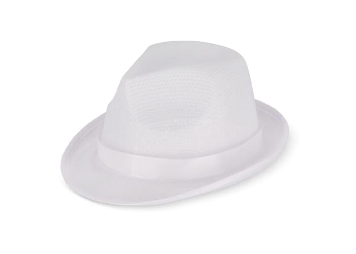 Polyester hat with band 2