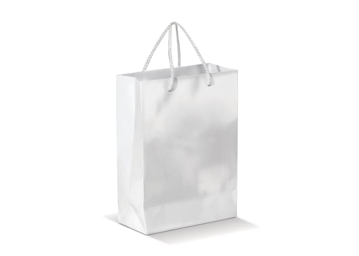 Paper bag small 2