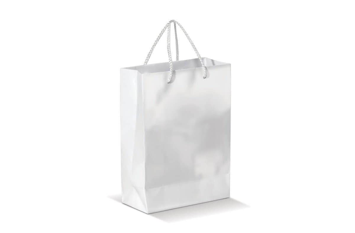 Paper bag small 3