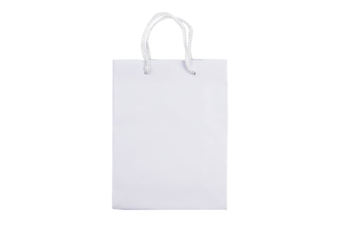 Paper bag small 4