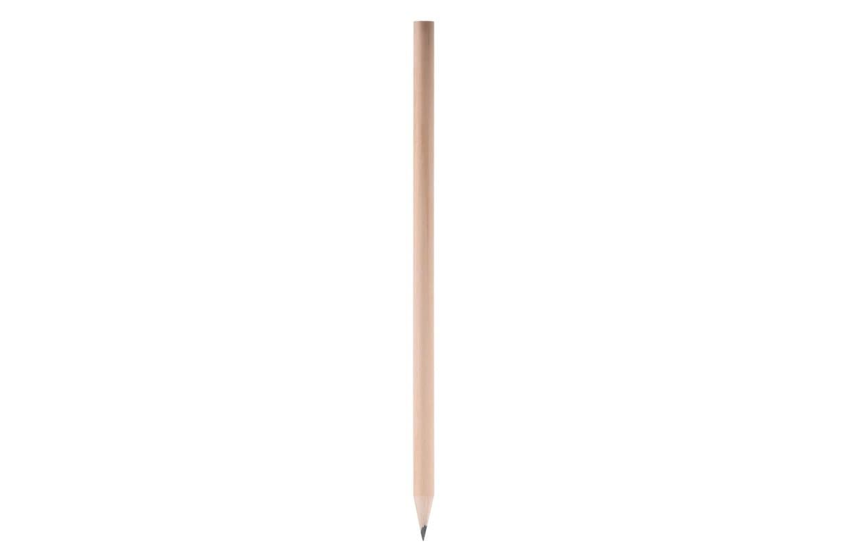 Pencil bio 4