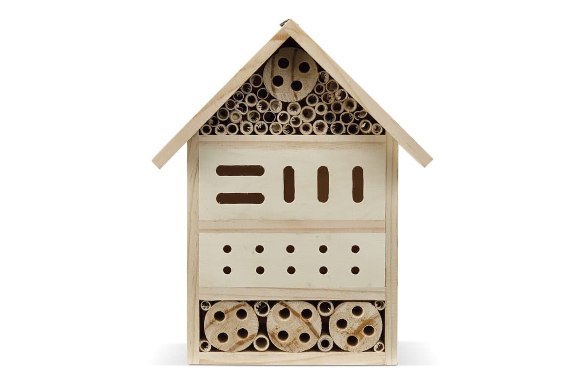Insect home 4